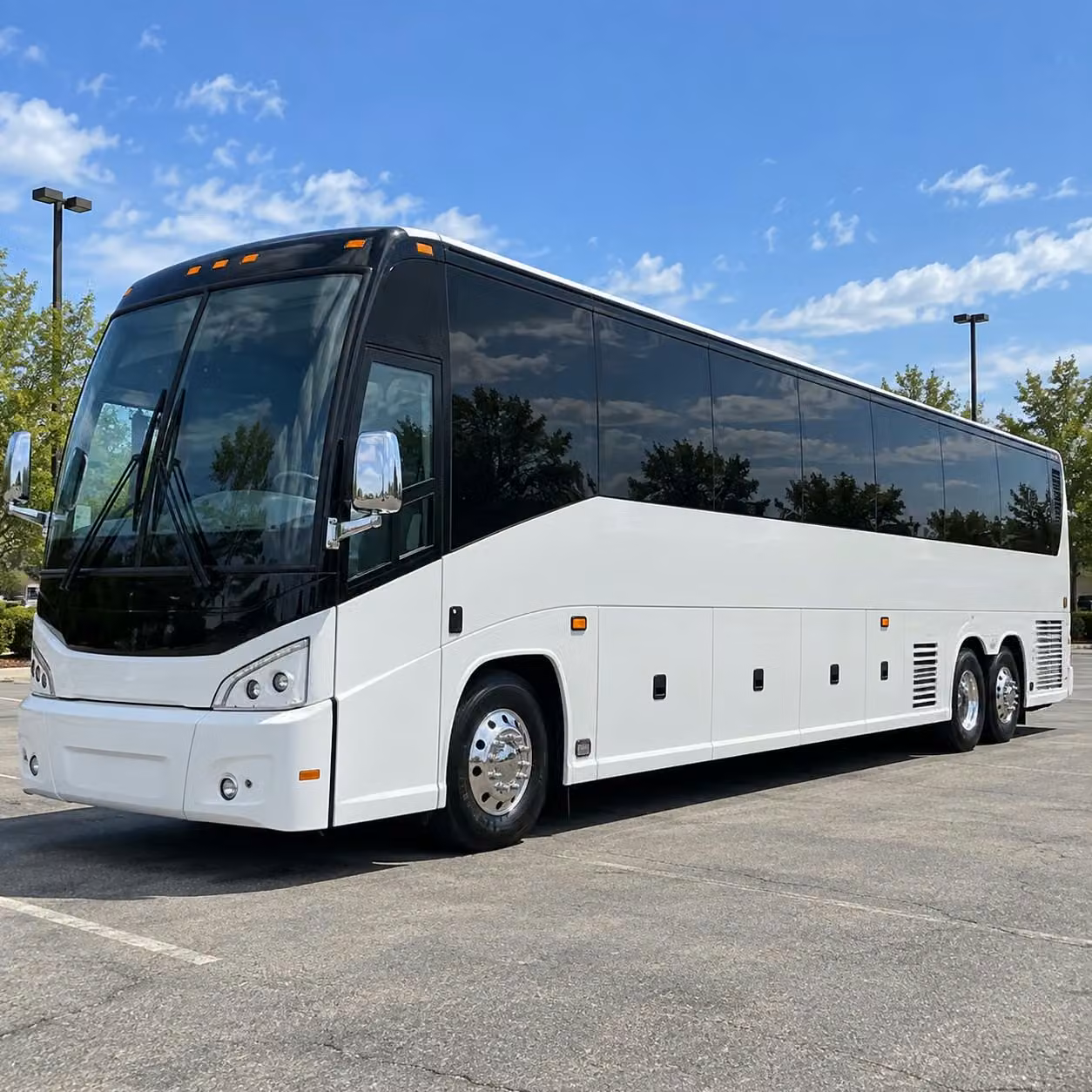 charter bus rentals for abilene school field trips to the abilene zoo and more